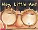 Books : Hey, Little Ant (Book and Audio CD) (Paperback)