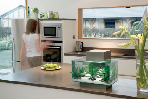 Fluval Edge Aquarium Set, Pewter, 6-Gallon Fluval Edge Aquarium Set, Pewter, 6-Gallon