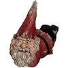 Terrapin Trading Gnome - Dozy