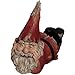 Terrapin Trading Gnome - Dozy