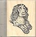 Beautiful English Cocker Spaniel (Seven) Rubber Stamp