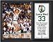 Larry Bird 12x15 Player Plaque