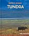 Tundra