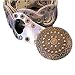 SILVER MOROCCAN INTERLOCKING GROMMET LINK ONE SIZE BELT