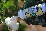 Downwind Scents BF-07 Persimmon Buck Foam