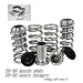 88 89 90-91 HONDA CIVIC CRX / 92 93 94 95 96 97 98 99-00 HONDA CIVIC EG EK EX LX / 94 95 96 97 98 99 00 01 ACURA INTEGRA GS LS DC2 LOWERING SUSPENSION COILOVER SPRING