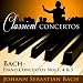 Search : Bach: Harpsichord Concerto in D Minor, BWV 1052 - 2. Adagio