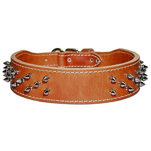 2 in. Leather Protector Tapered Dog Collar with Spikes model 129K (Black, 25 in.)