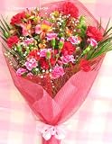 【リボンネット】カーネーションと季節のお花の花束（生花）FL-MD-05