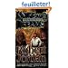 Knife of Dreams: Book Eleven of Wheel of Time (poche)