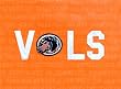 Tennessee Painting - Tennessee Vol Logo
