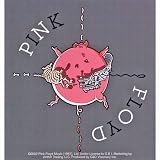 Pink Floyd - Pig Decal