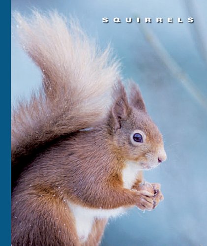 Squirrels (The World of Mammals)