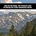 Book Show Me The Money: The Financial Side of Selling Car Video Accessories Online