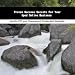 Book Proven Success Secrets For Your Ipod Online Business