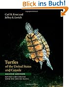 Turtles of