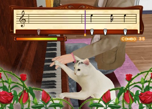 女番社長レナ Wii