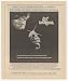 1981 The Legend of the Lone Ranger Movie Promo Print Ad (14024)
