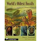 World's Oldest Fossils by Bruce L. Stinchcomb