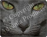 Review Advanta  / GREY CATS FACE CLOSE-UP Mouse Mat