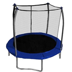 Skywalker Trampolines 8 Ft. Round Trampoline and Enclosoure with Blue Spring Pad