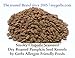 Smokey Chipotle Pumpkin Seed Kernels, 2 LBS by Gerbs – Top 12 Food Allergy Free & NON GMO - Vegan & Kosher - Dry Roasted Seasoned Premium Quality Seeds Grown in Mexico
