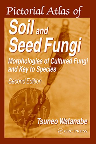 Pictorial Atlas of Soil and Seed Fungi: Morphologies of Cultured Fungi and Key to Species, Second Edition