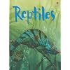 Reptiles (Usborne Beginners: Level 2)
