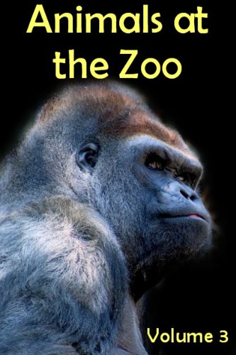 Animals at the Zoo - Volume 3