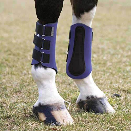 Neoprene Splint Boots for Horses BlackM Sporting Goods Outdoor