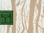 McSweeney's Issue 16 (McSweeney's Quarterly Concern)