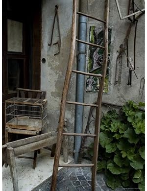Ladder at the Entrance to an Antique Shop, Asolo, Italy Photographic Poster Print by Todd Gipstein, 9×12