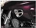 LED AIR INTAKE GRILLES GL1800 - Show Chrome - Image