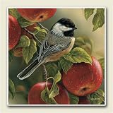 AbsorbaStone Coaster set~ Chickadee w/Apples ~4 Tile Drink Coasters ~ code 455C