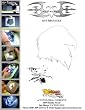 Bald EAGLE Animal AIRBRUSH STENCIL-AIR BRUSH TEMPLATE