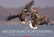 Mecklenburg-Vorpommern: Seeadler, Eisvogel, Rothirsch & Co. - Kalender 2011