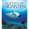 Tauchen mit Giganten