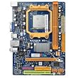 Biostar MCP6PB M2+ Socket AM2+ mATX motherboard