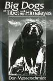 Big Dogs of Tibet and the Himalayas: A Personal Journey