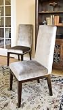IMAGE OF Classic Home Concepts Larson Velvet Side Chair Sand Seating Chairs - Side 53002211