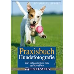 Praxisbuch Hundefotografie: Vom Schnappschuss zum perfekten Foto