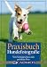 Image of Praxisbuch Hundefotografie: Vom Schnappschuss zum perfekten Foto