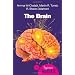 The Brain: A Beginner's Guide (Oneworld Beginner's Guides)