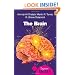 The Brain: A Beginner's Guide (Beginner's Guides)