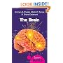 The Brain: A Beginner's Guide (Beginner's Guides)