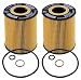 BMW Oil Filter Element (11 42 7 542 021)