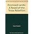 Promised Lands: A Novel of the Texas Reb