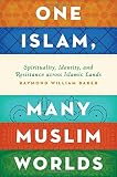 One Islam, many Muslim worlds : spirituality, identity, and resistance across Islamic lands