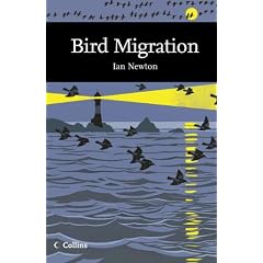 Bird Migration