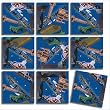 B Dazzle Chicago! Scramble Squares 9 Piece Puzzle